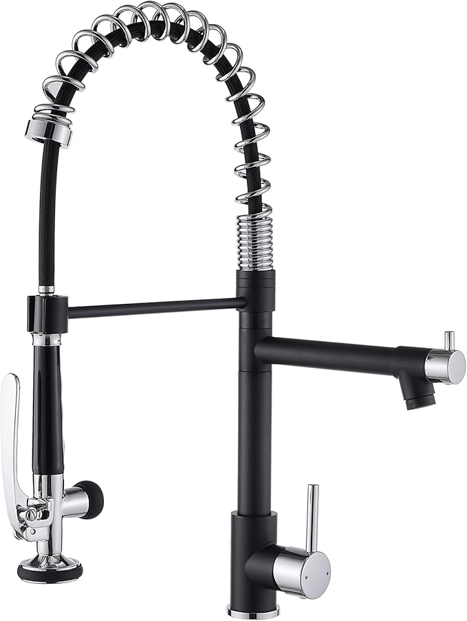 Fapully Kitchen Sink Faucet, Pull Down Kitchen Faucet, Single Handle Single by Fapully