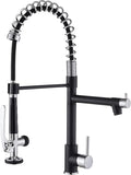 Fapully Kitchen Sink Faucet, Pull Down Kitchen Faucet, Single Handle Single by Fapully