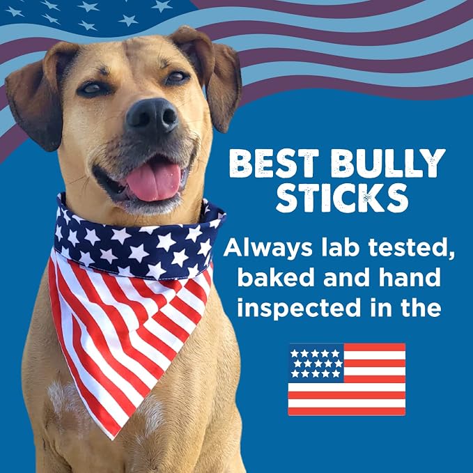 Best Bully Sticks 12 Inch Bully Sticks - Image 9
