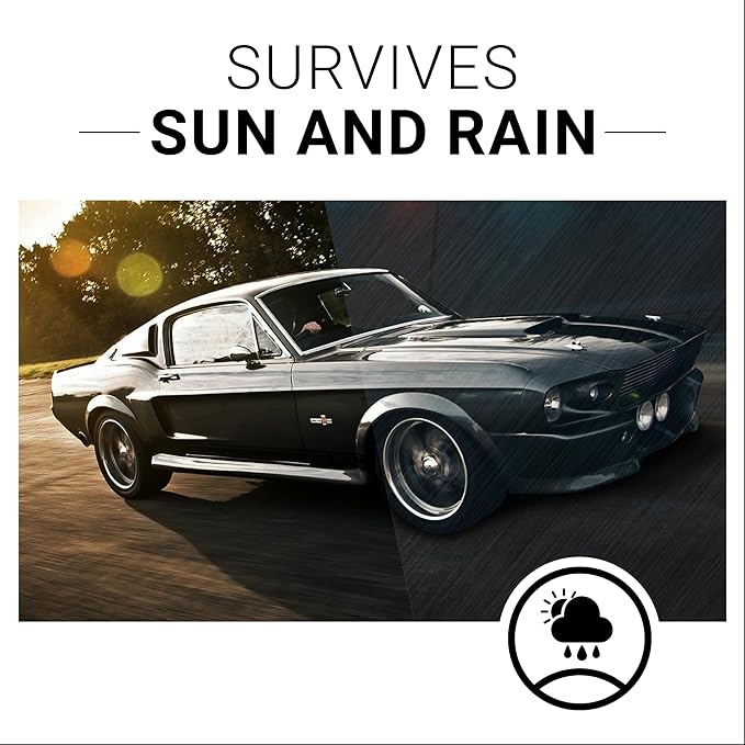 CAR GUYS Plastic Restorer | Bring Plastic, and Vinyl Back to Life! | User - Image 5