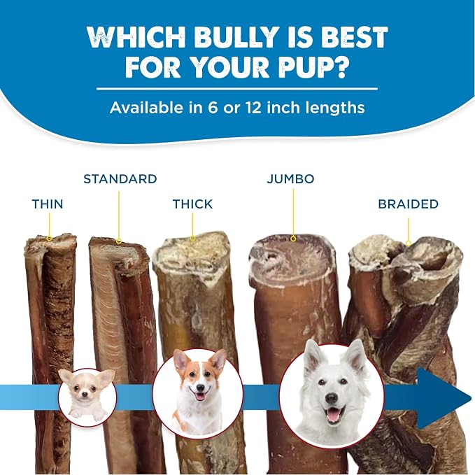 Best Bully Sticks 6 Inch Bully Sticks - Image 6