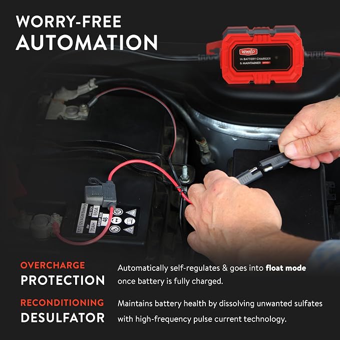 Weego 1A Battery Maintainer/Trickle Charger - Image 4
