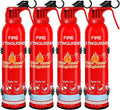 Fire Extinguisher for Home, Portable A, K Class Fire Extinguishers by Leyanny